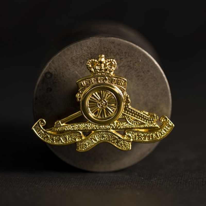 New Zealand defence force hat badge