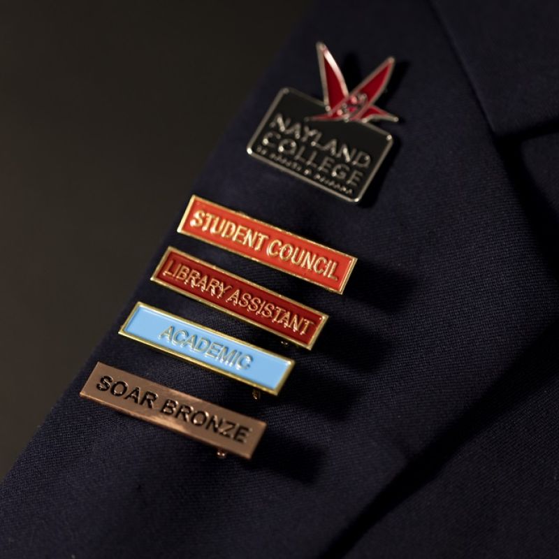 Nayland College custom lapel pins
